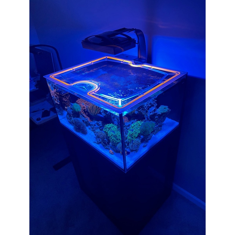 SCA 50 Gallon Starfire 24 x 24" Custom Polycarbonate Aquarium Screen Top Lid