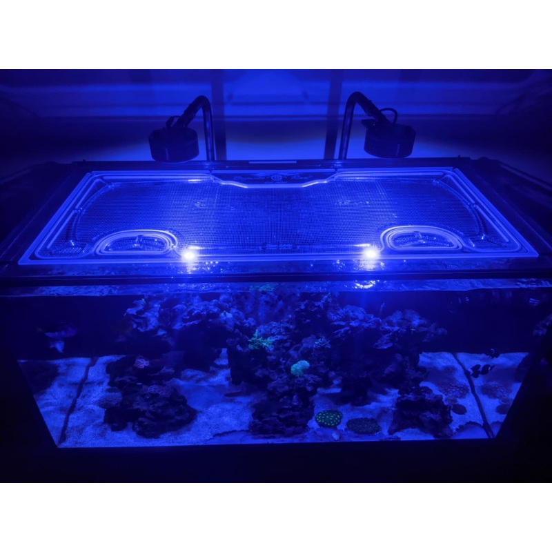 SCA 90 Gallon Starfire Long 48 x 18" Custom Polycarbonate Aquarium Screen Top Lid