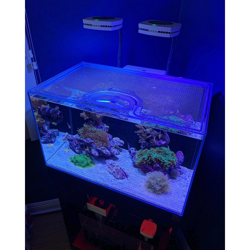 Ultum Nature Systems UNS Long 60L Custom Polycarbonate Aquarium Screen Top Lid