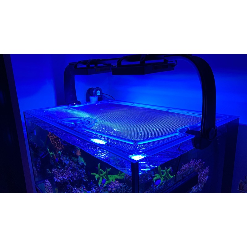 D-D Pro-Reef 600 Polycarbonate Screen Top Lid