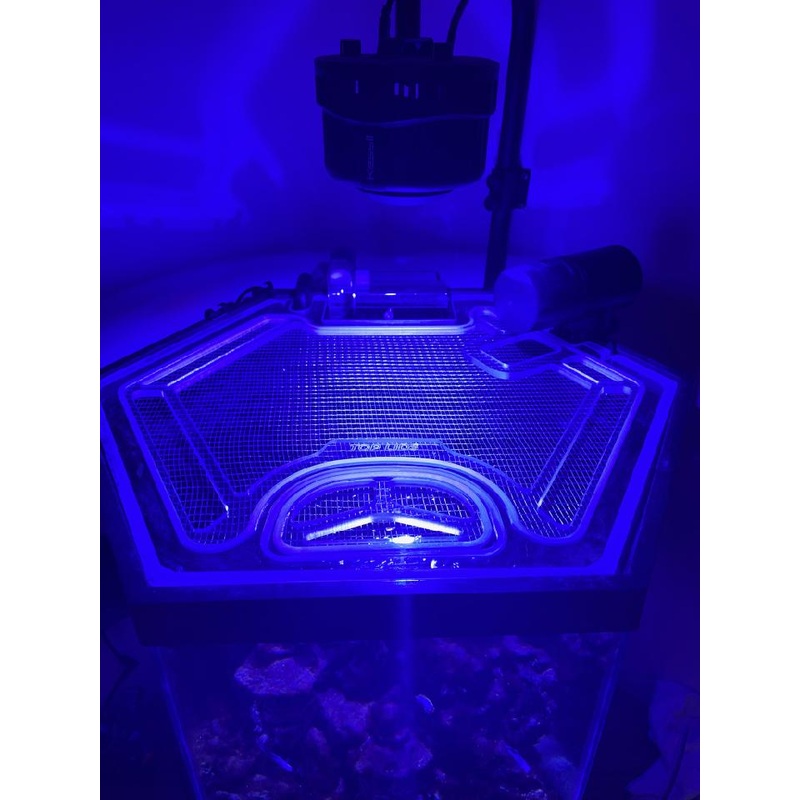 Hexagon 20 Gallon Custom Polycarbonate Aquarium Screen Top Lid