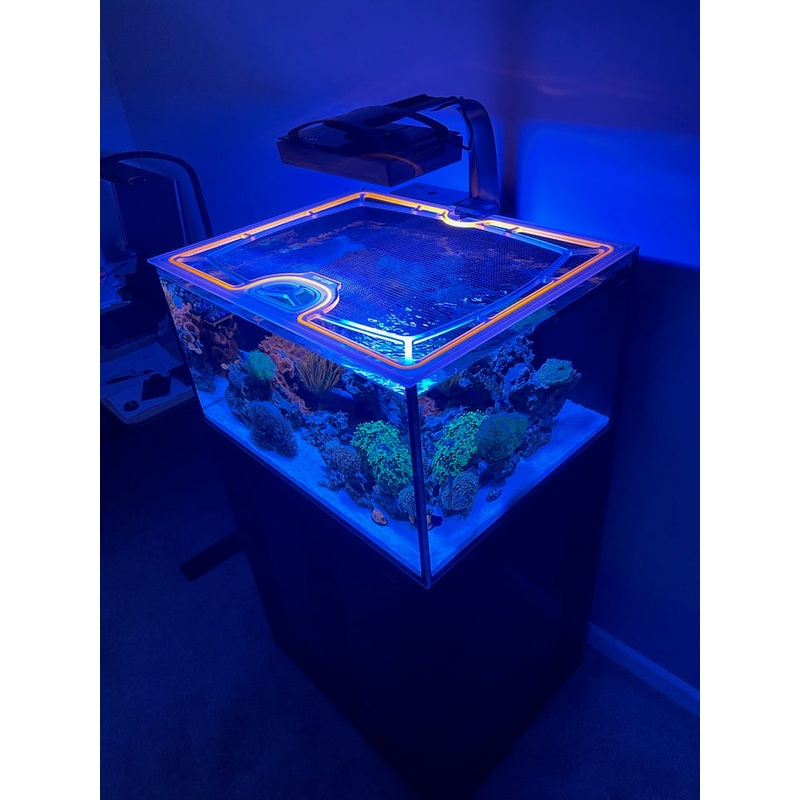 Innovative Marine NUVO 40L (40 Long) EXT Custom Polycarbonate Aquarium Screen Top Lid