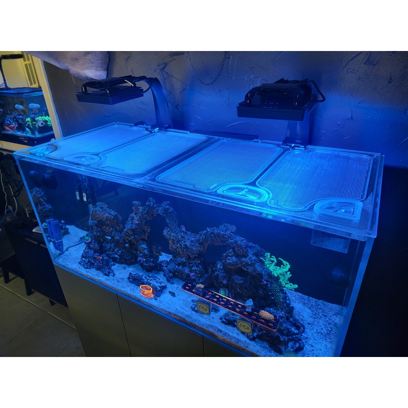 NYOS Opus G2 440 (Pro Line and Slim Line) Polycarbonate Screen Top Lid