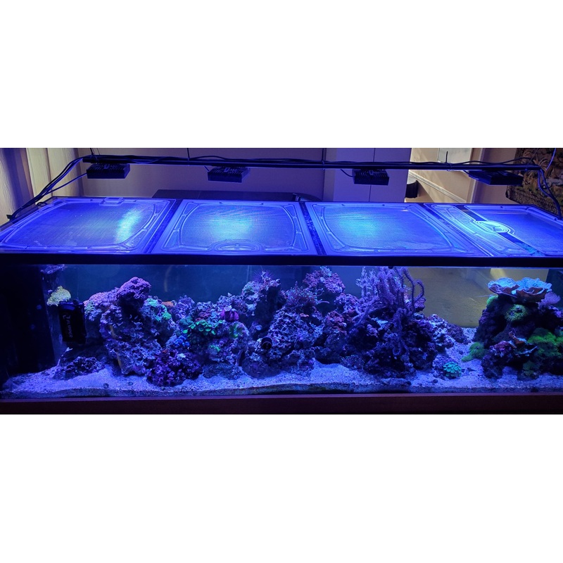 Planet Aquariums Mega Matrix Black Framed Peninsula 72.5 x 24.5" (180 and 215 Gallon) Polycarbonate Screen Top Lid