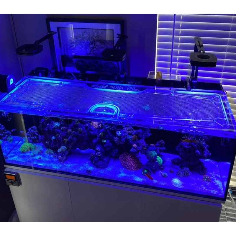 Planet Aquariums Tideline AIO Lagoon 31 Gallon Custom Polycarbonate Aquarium Screen Top Lid