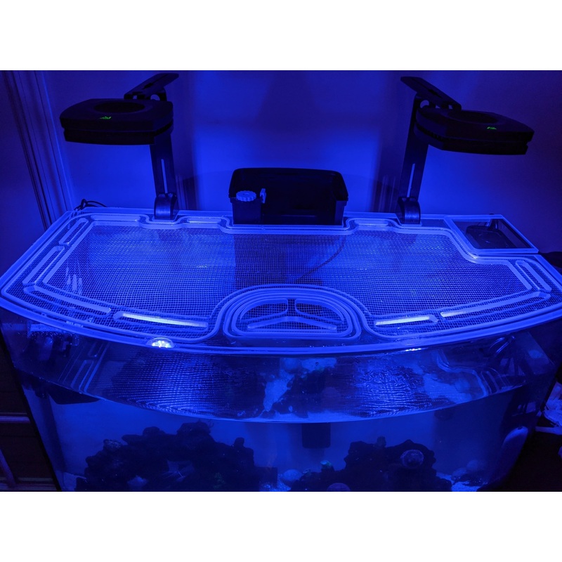 Top Fin 36 Gallon Bowfront Rimless Version (no Black Frame) Custom Polycarbonate Aquarium Screen Top Lid