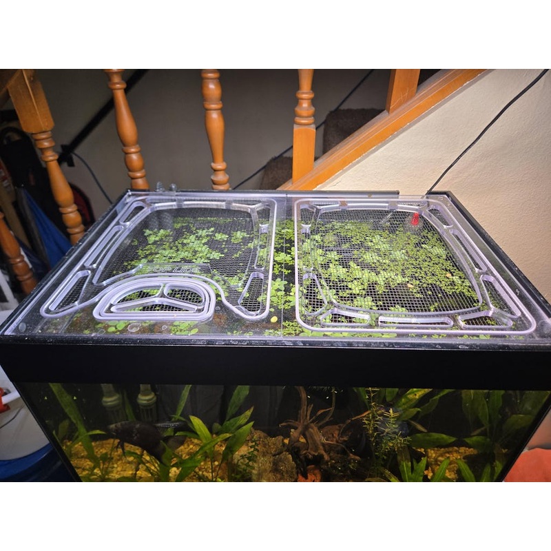 Waterbox Eden 145 Polycarbonate Screen Top Lid