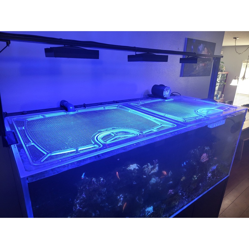Neptunian M-Pro 90 Polycarbonate Screen Top Lid