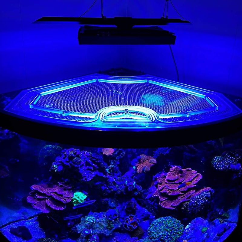 Planet Aquarium Radius R110 Corner Polycarbonate Screen Top Lid