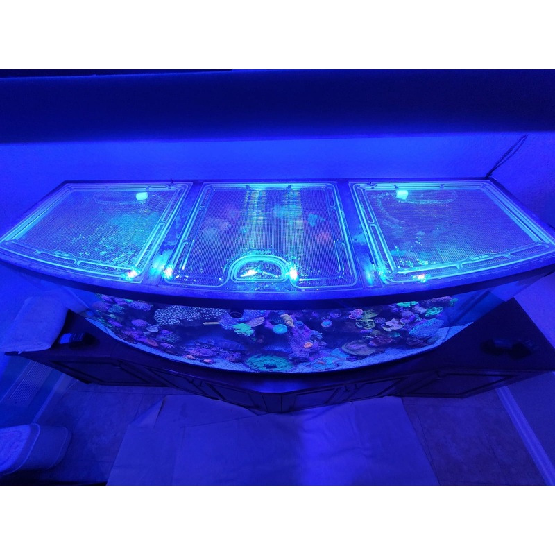 Planet Aquarium Radius R175 Bowfront Polycarbonate Screen Top Lid