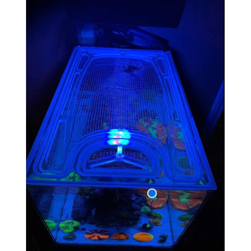 Planet Aquariums Studio Bookshelf 1.4 Gallon Polycarbonate Screen Top Lid