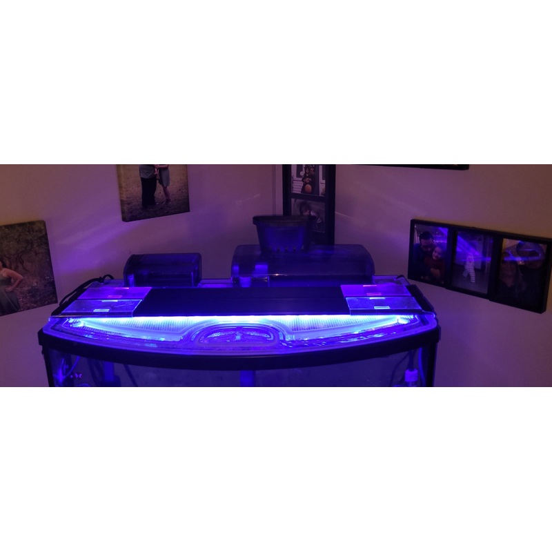 Top Fin 36 Gallon Bowfront Rimmed Version (with Black Frame) Polycarbonate Aquarium Screen Top Lid