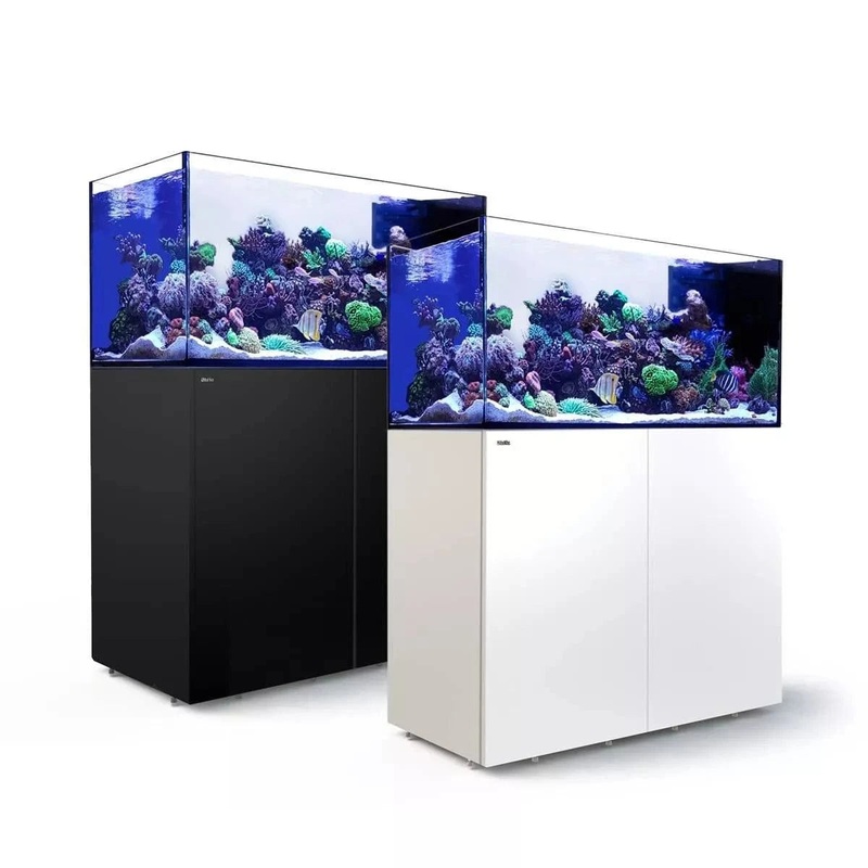 REEFER Peninsula 350 G2+ (137.1 Gal) - Red Sea