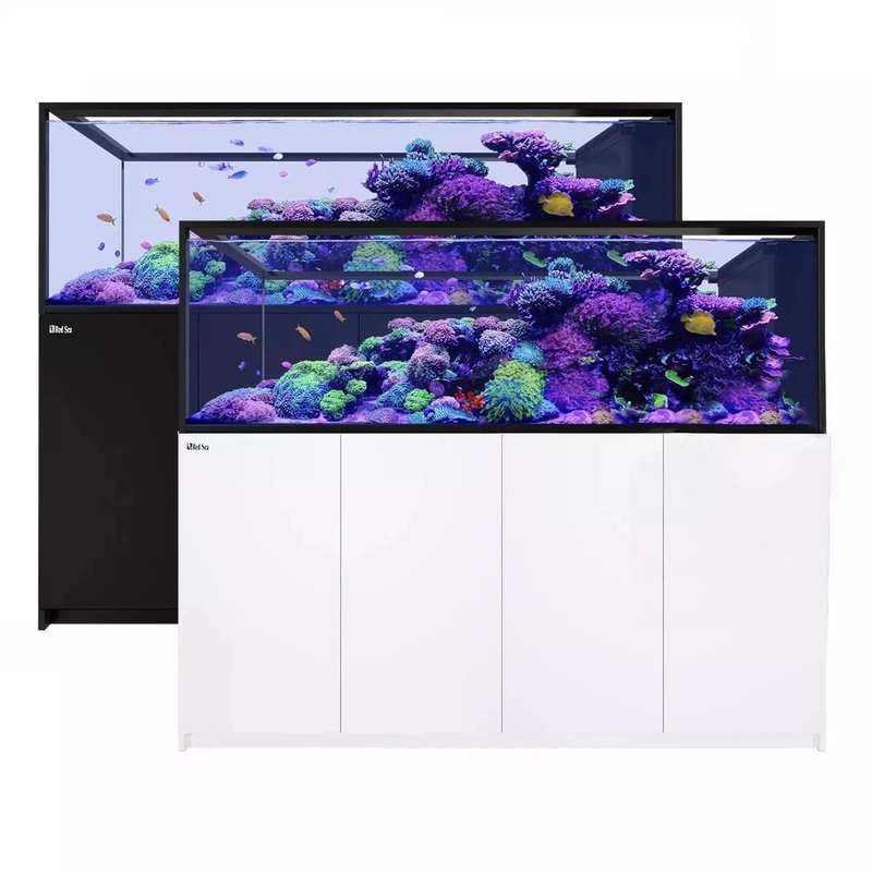 REEFER Peninsula S-950 G2+ (250.2 Gal) - Red Sea