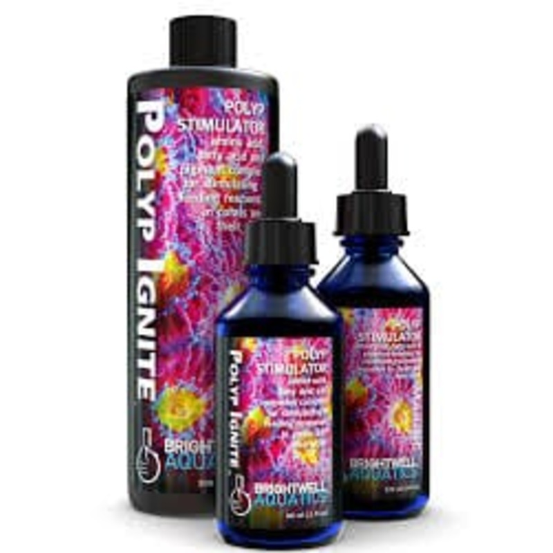 Polyp Ignite - Brightewell