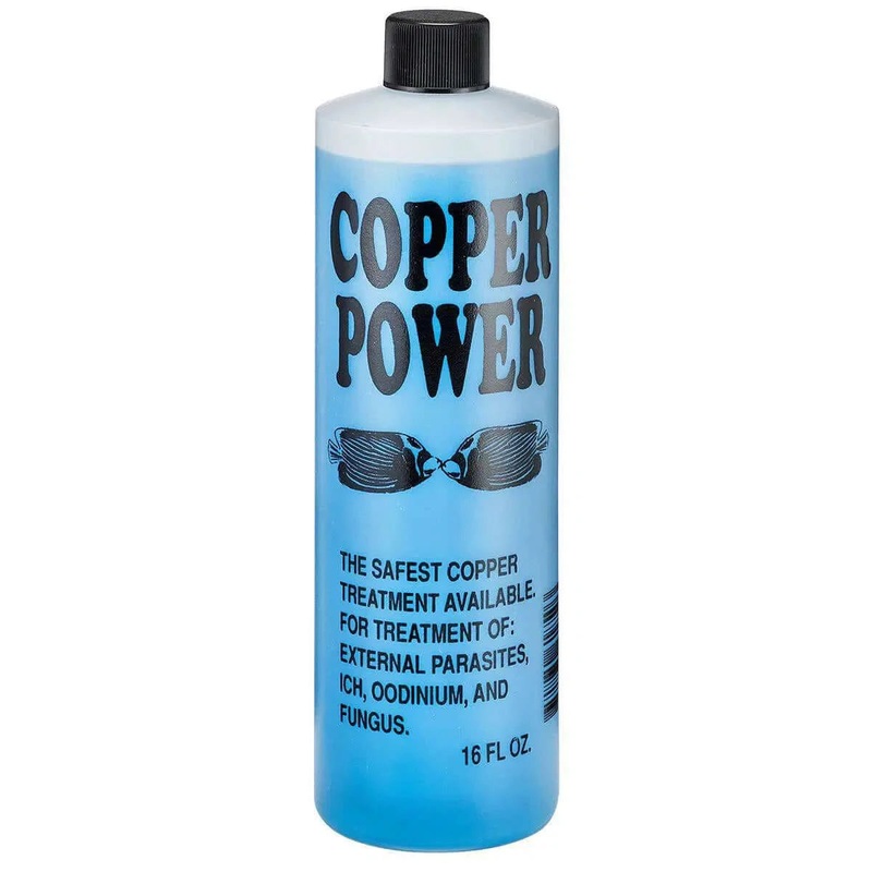 Copper Power 16oz