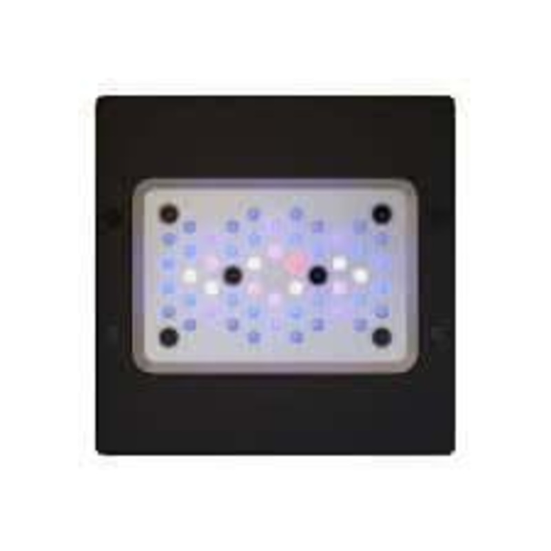 Ecotech Radion XR15 Blue G6