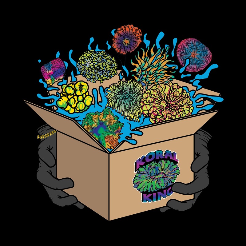 King's Mystery Box